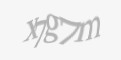 Защитный код