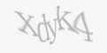 Защитный код