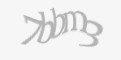 Защитный код
