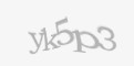 Защитный код