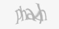 Защитный код